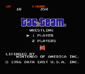 Tag Team Wrestling (USA) screen shot title